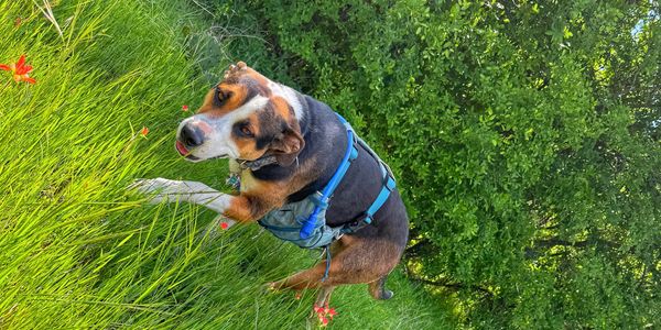 A vibrant sunset over a calm lake, reflecting hues of orange, pink, and purple in the water.