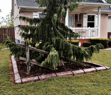 curbing morrocan stone series