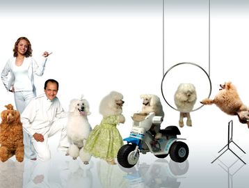 Super Doggies show infantil para fiestas y eventos