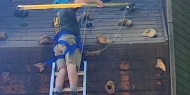 Professional hornet removal on an outdoor rock climbing wall in the Berkshires, Western Massachusett