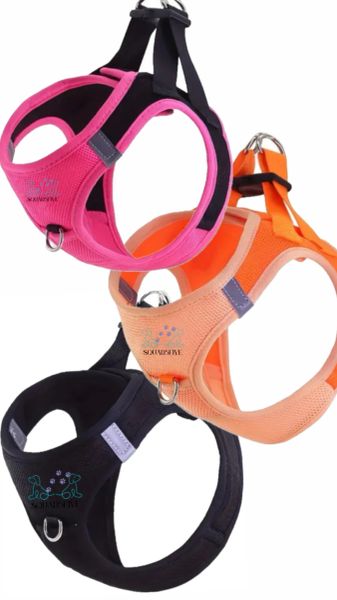 Springhare Harnesses SUMMER VIBE HARNESSES