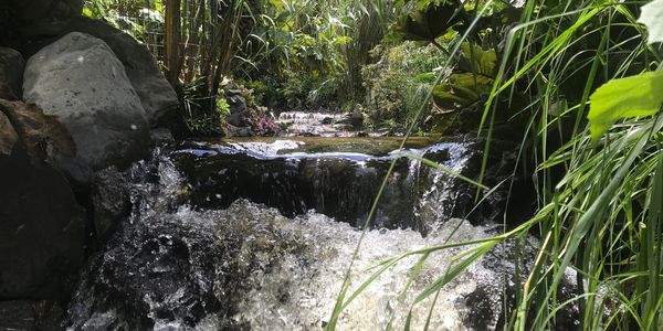 Pequeñas cascadas formadas por la naturaleza.