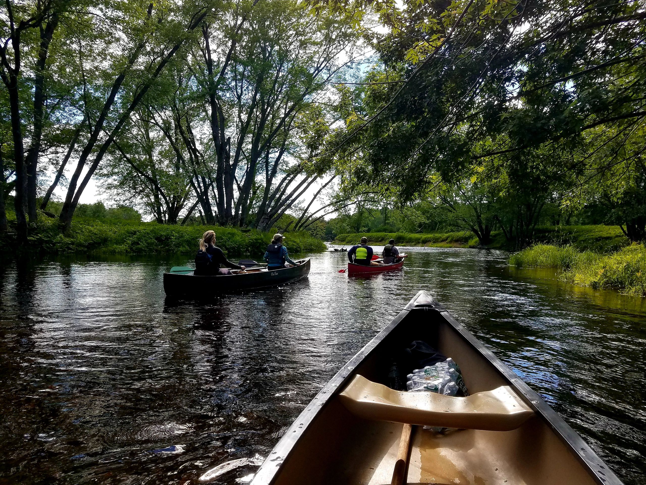 Canoeing Maine River Trip - Penobscot River - Forage River Outfitters - 