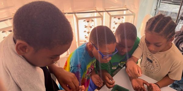 Four kids examining small objects closely.
