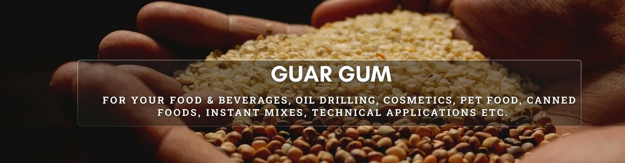 Close-up of hands holding guar gum seeds for various industries.