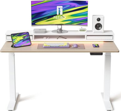EZIBO 48 * 26 Inch Electric Standing Desk with Monitor Stand