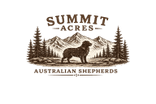 Summit Acres Australian Shepherds
