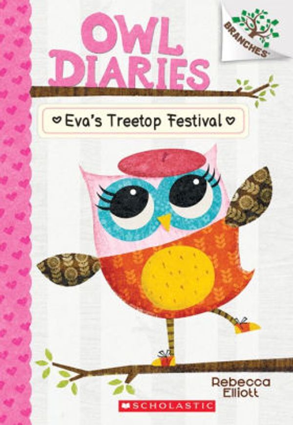 Owl diaries
elementary books
classroom library