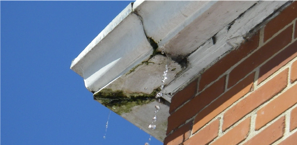 Common signs of a broken gutter system...