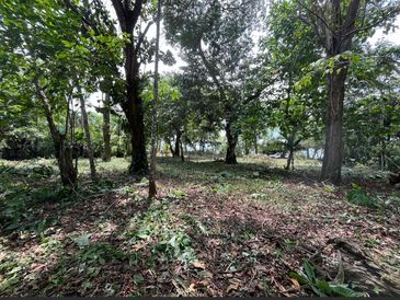 Amazing Beach front lot in Pavones for sale