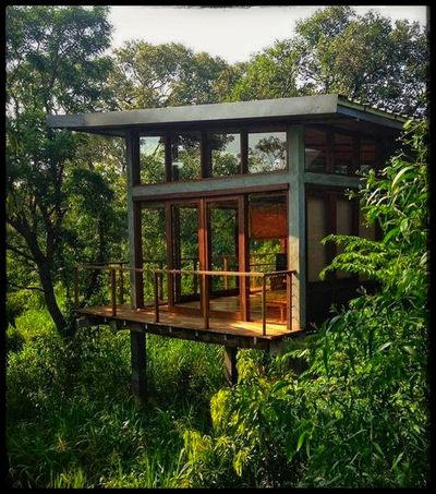 A jungle house 
