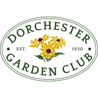 Dorchestergarden