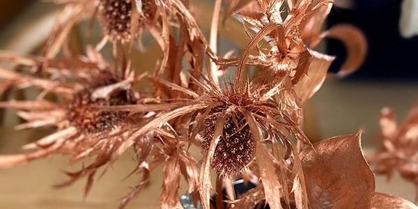 Copper Sea Holly