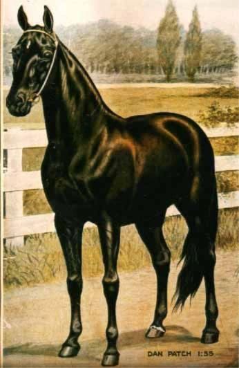 Painting of Dan Patch. Unknown artist.
