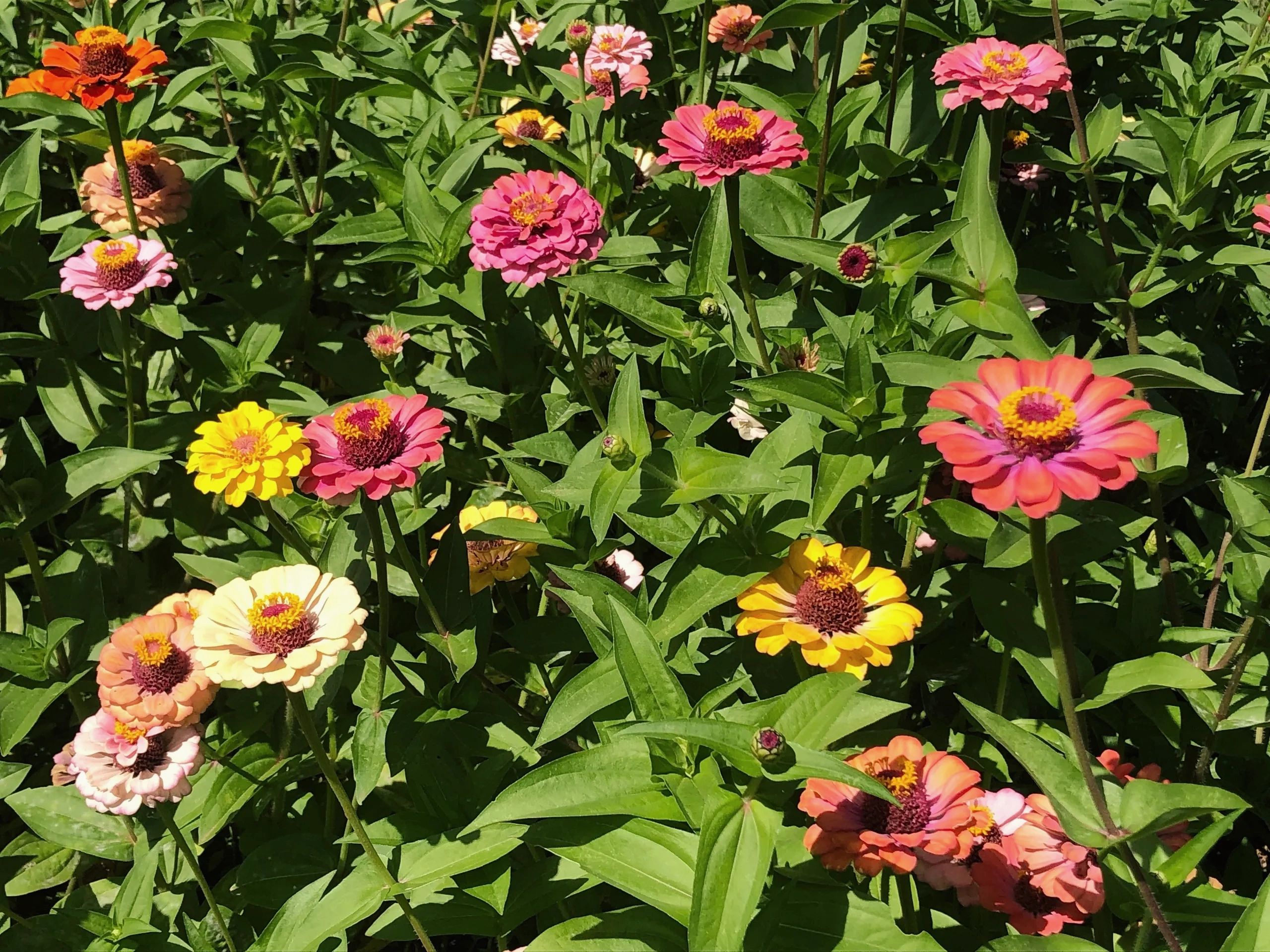 October Month Topics October Month Topics