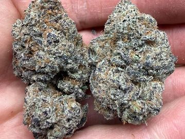 Two dense cannabis buds held in hand.