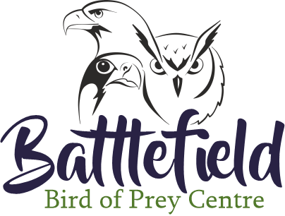 Battlefield Bird of Prey Centre