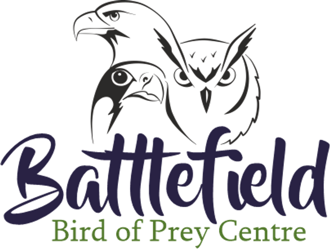 Battlefield Bird of Prey Centre