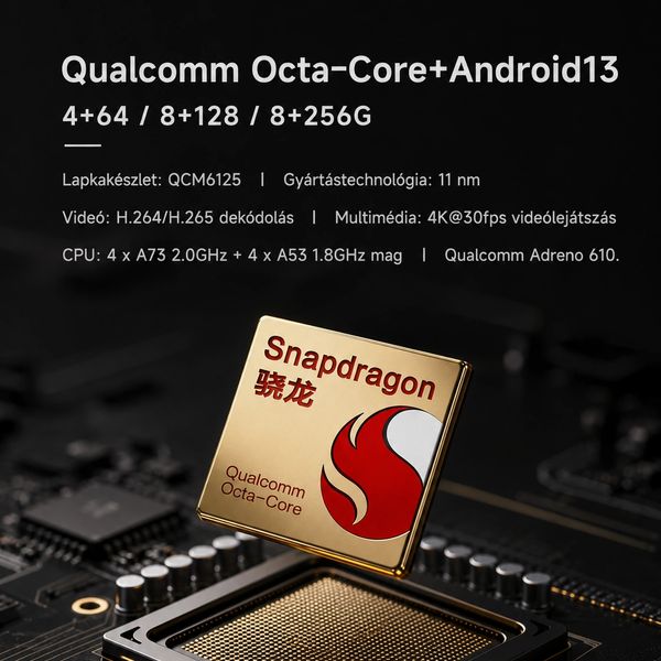 Qualcomm Snapdragon Octa-Core chip with Android 13 support and advanced multimedia capabilities.