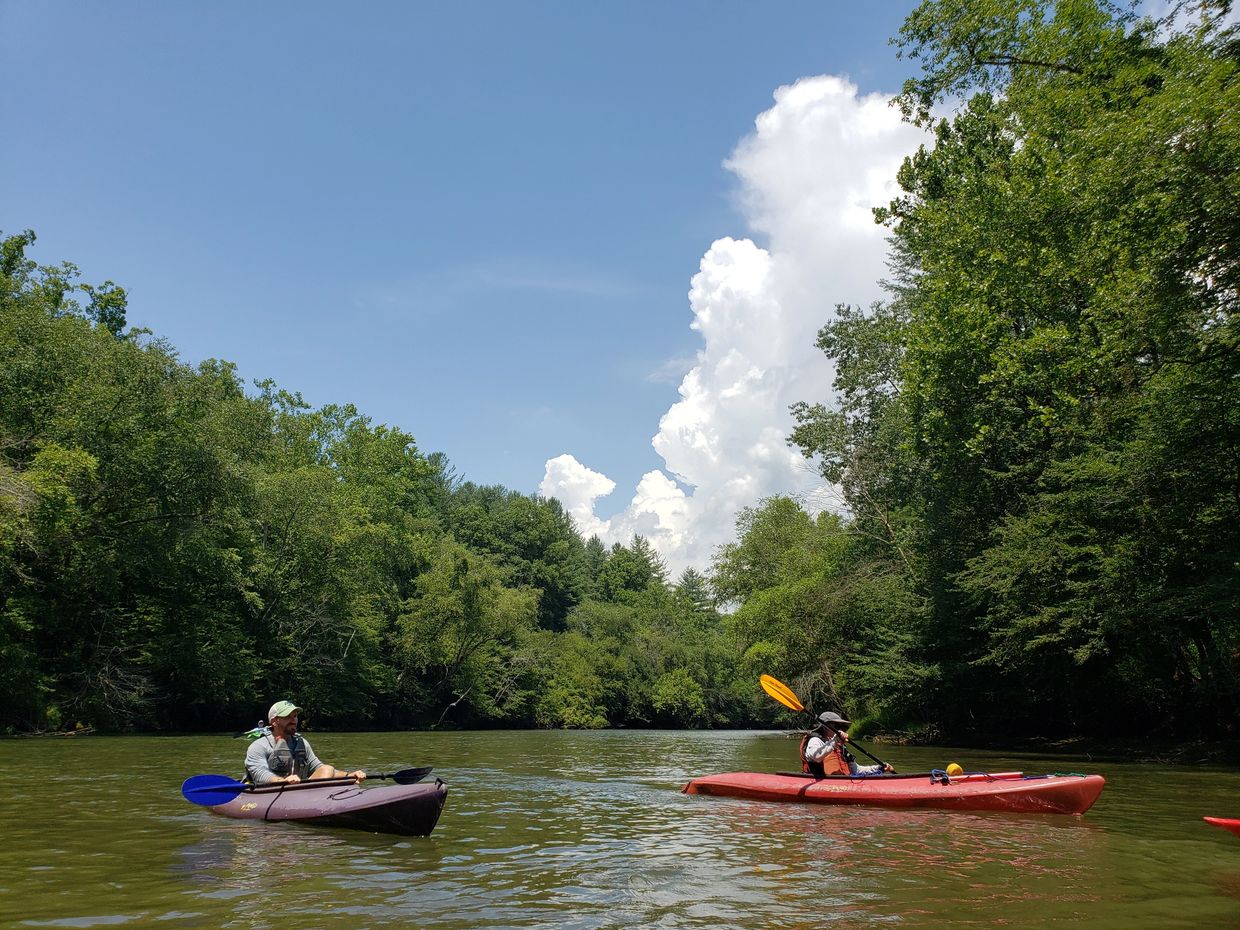 Kayakers