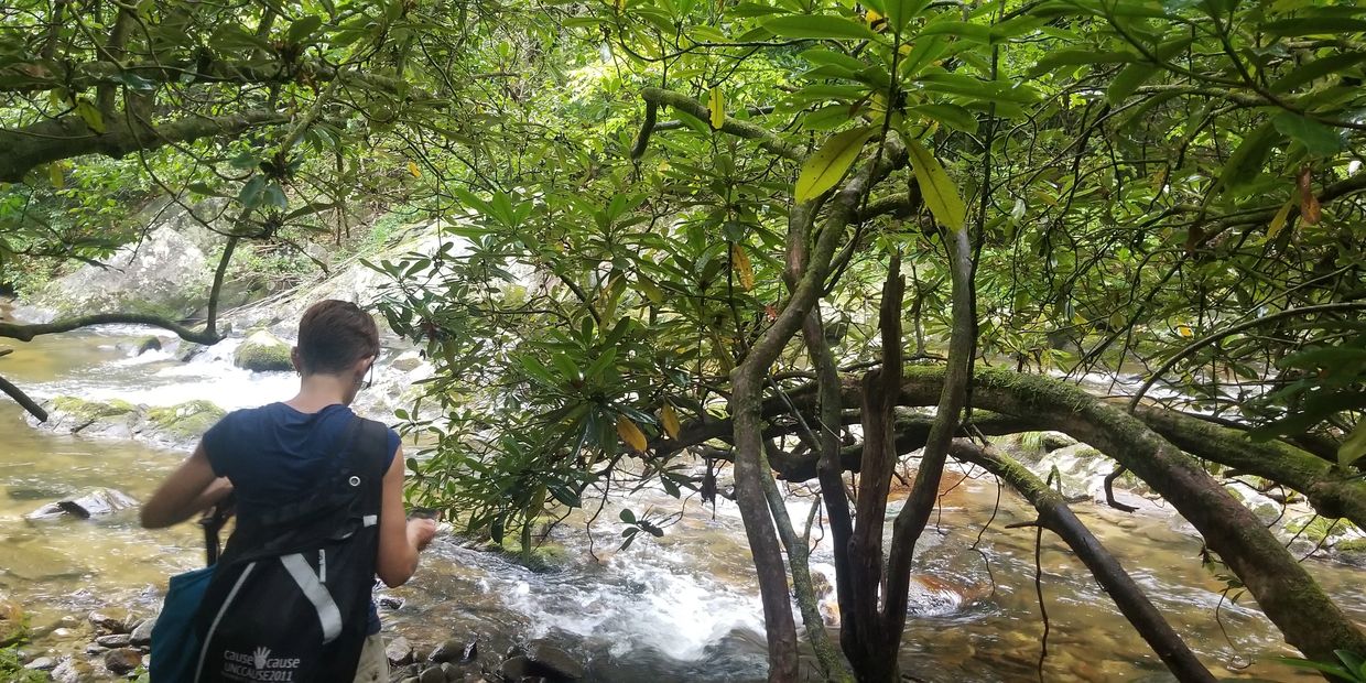 Hiker by creek