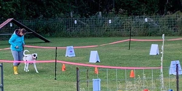 Person and dog at an outdoor dog agility course.