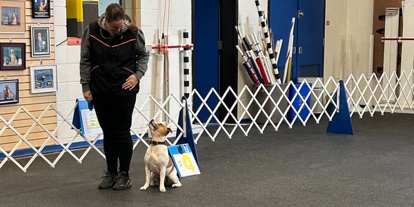 A person trains a dog in an indoor agility or obedience course.