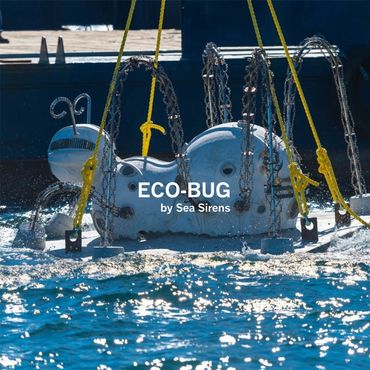 "Eco-Bug" by Sea Sirens/Priscilla D'Brito in Florida, US.
Scanning & Modeling by EES Design Studio