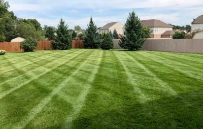 Well-manicured lawn with striped mowing pattern.
