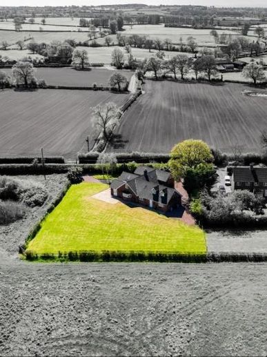 A house with a bright green lawn in a mostly black-and-white landscape.