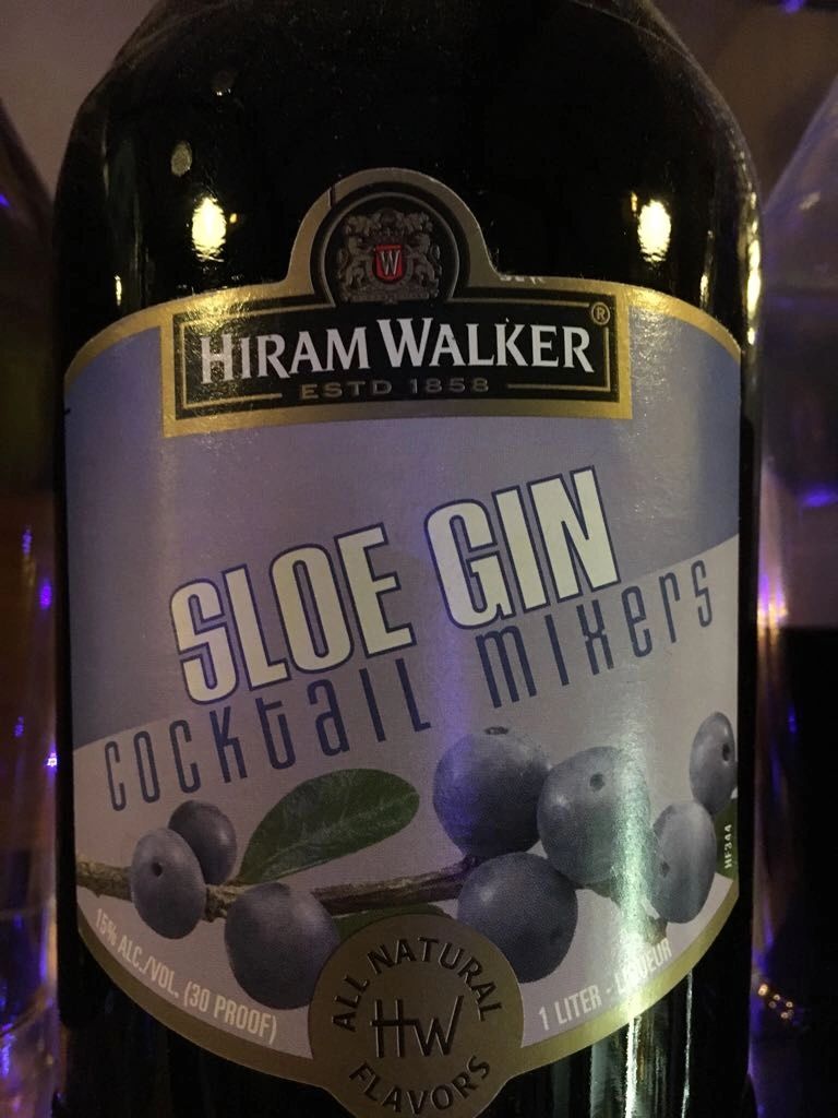 Hiram Walker SLOE GIN30
