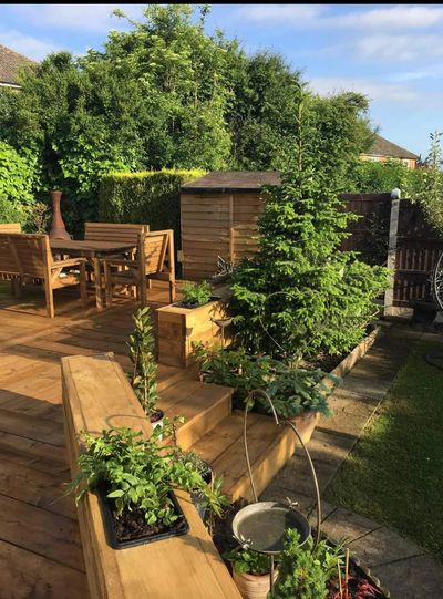 Sunlit backyard with wooden deck, garden furniture, evergreen trees, and potted plants.