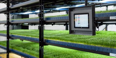 Automated Hydroponic Fodder System - HydroGreen