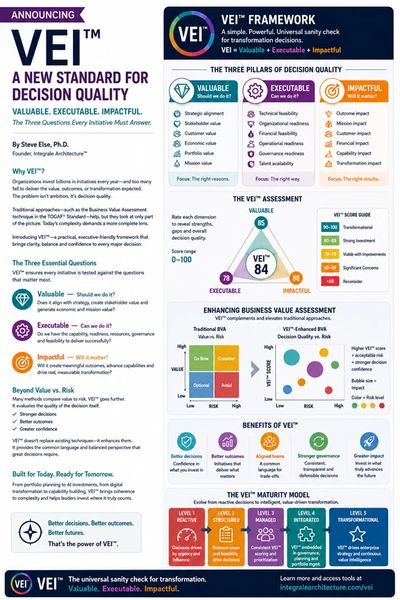 Infrographic of VEI Framework