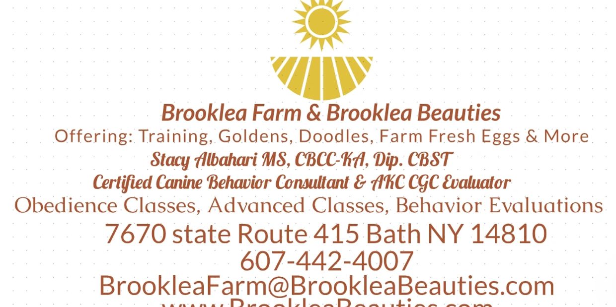 Brooklea beauties New York Goldendoodle puppies Golden Retriever Puppies, Farm Fresh eggs our flock