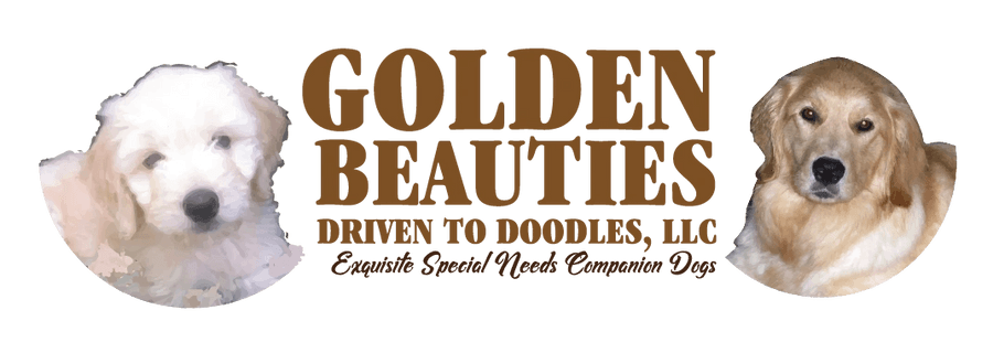 Golden Beauties . . . Driven to Doodles, LLC
