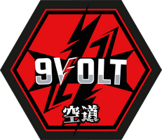 9 VOLT MMA