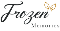 Frozen Memories