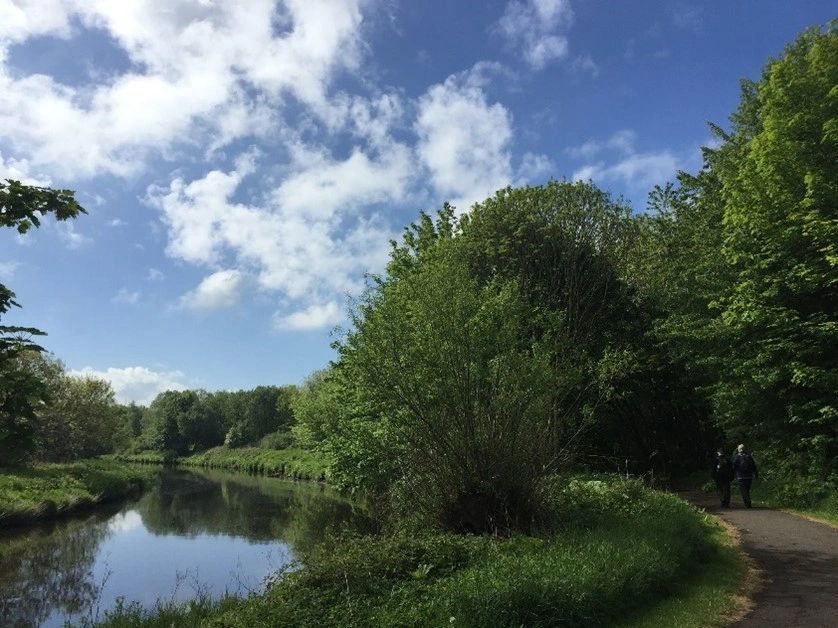 Woodland walk river