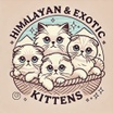 Himalayan & Exotic Kittens 