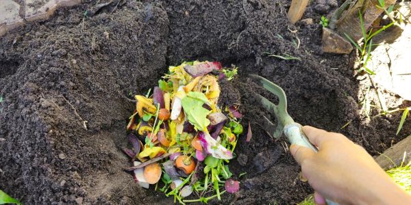 Person composting food scraps in soil.