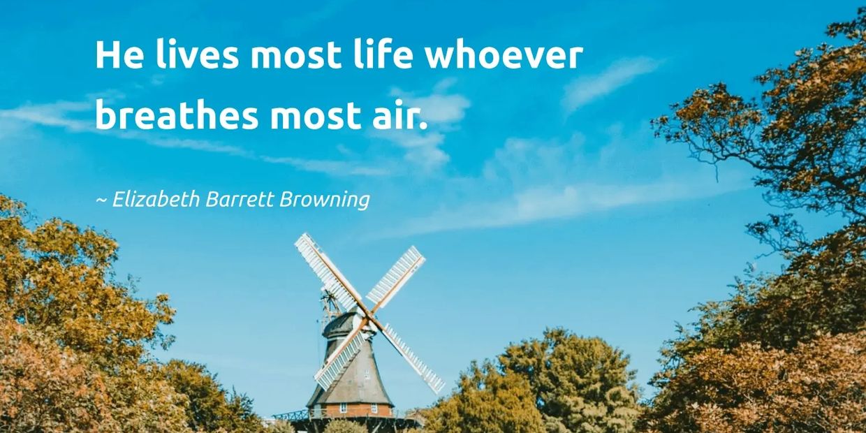 The air we breathe deeps us healthy and alive. Healthy life, water and air solutions atlanta ga