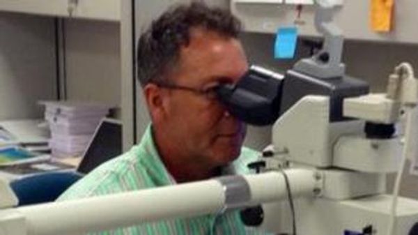 Scientist looking through microscope