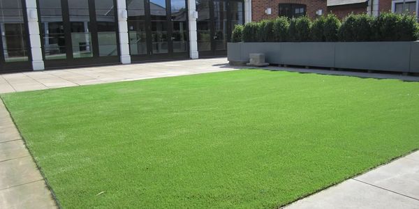 Artificial Grass Project