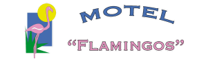 Motel Flamingos