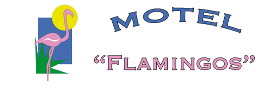 Motel Flamingos