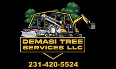 DeMasi Tree Service LLC