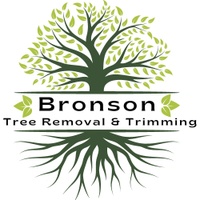 Bronson Tree Removal Trimming