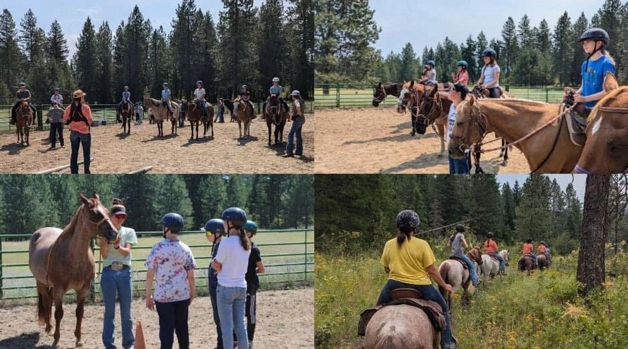 Horse Heritage Educational Program is looking for wranglers for the 2026 camp season. We work with Y