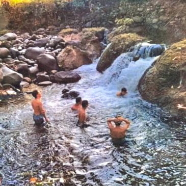 Five people swimming near a small waterfall in a rocky river.